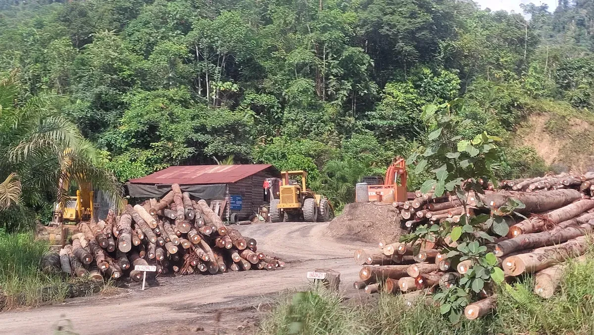 13 Sarawak Areas Log Unhealthy Air As Haze Persists